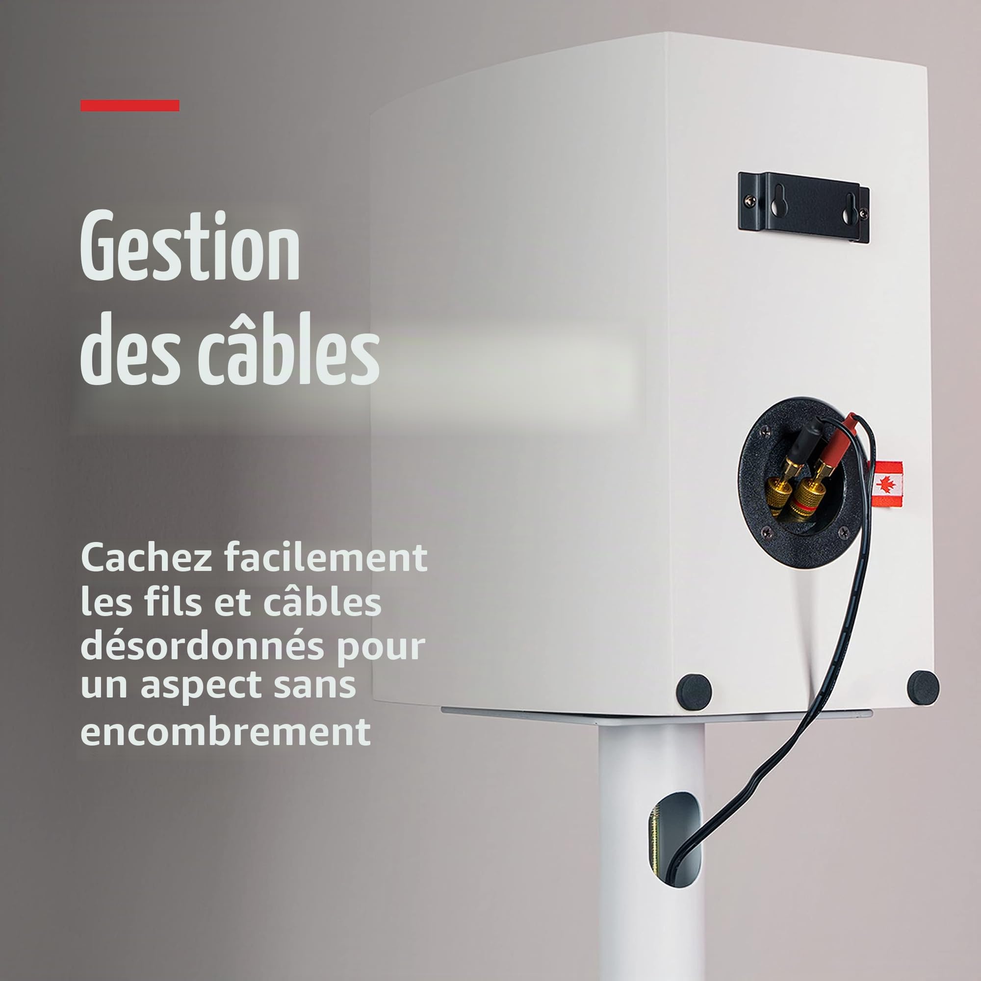 Fluance Paire De Supports D’Enceintes avec Construction Robuste, Pointes De Dérivation, Pieds en Caoutchouc, Gestion des Câbles Et Base Carrée – Blanc Mat