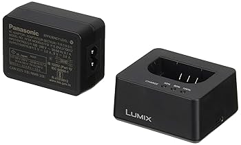 LUMIX S5 ボディ シャッター581回 純正充電器・バッテリー付 LUMIX S5 ボディ シャッター581回 純正充電器・バッテリー付