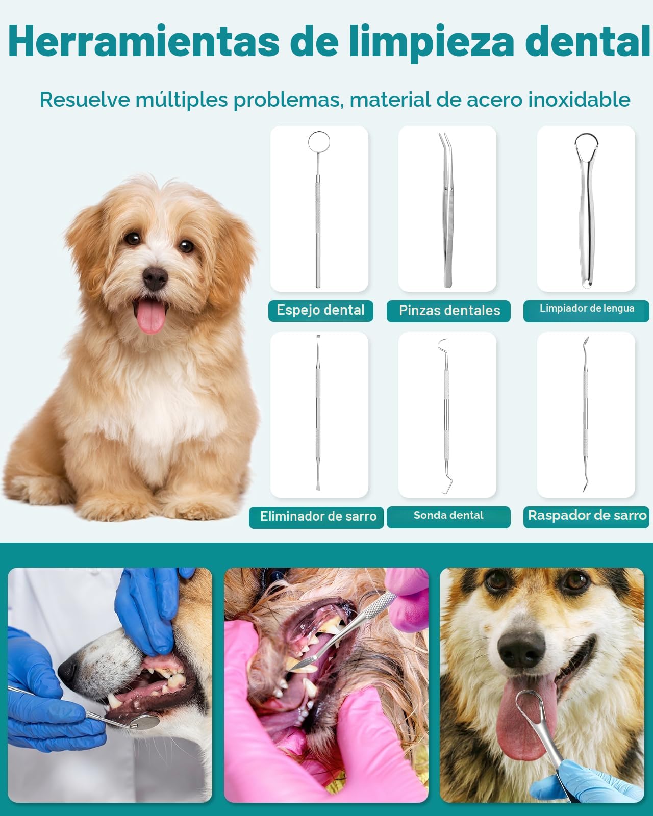 Kit de limpieza dental ultrasónico Petbank para perros y gatos, eliminador de sarro dental ultrasónico para perros y gatos, 5 modos de limpieza y 4 cabezales de limpieza para mascotas