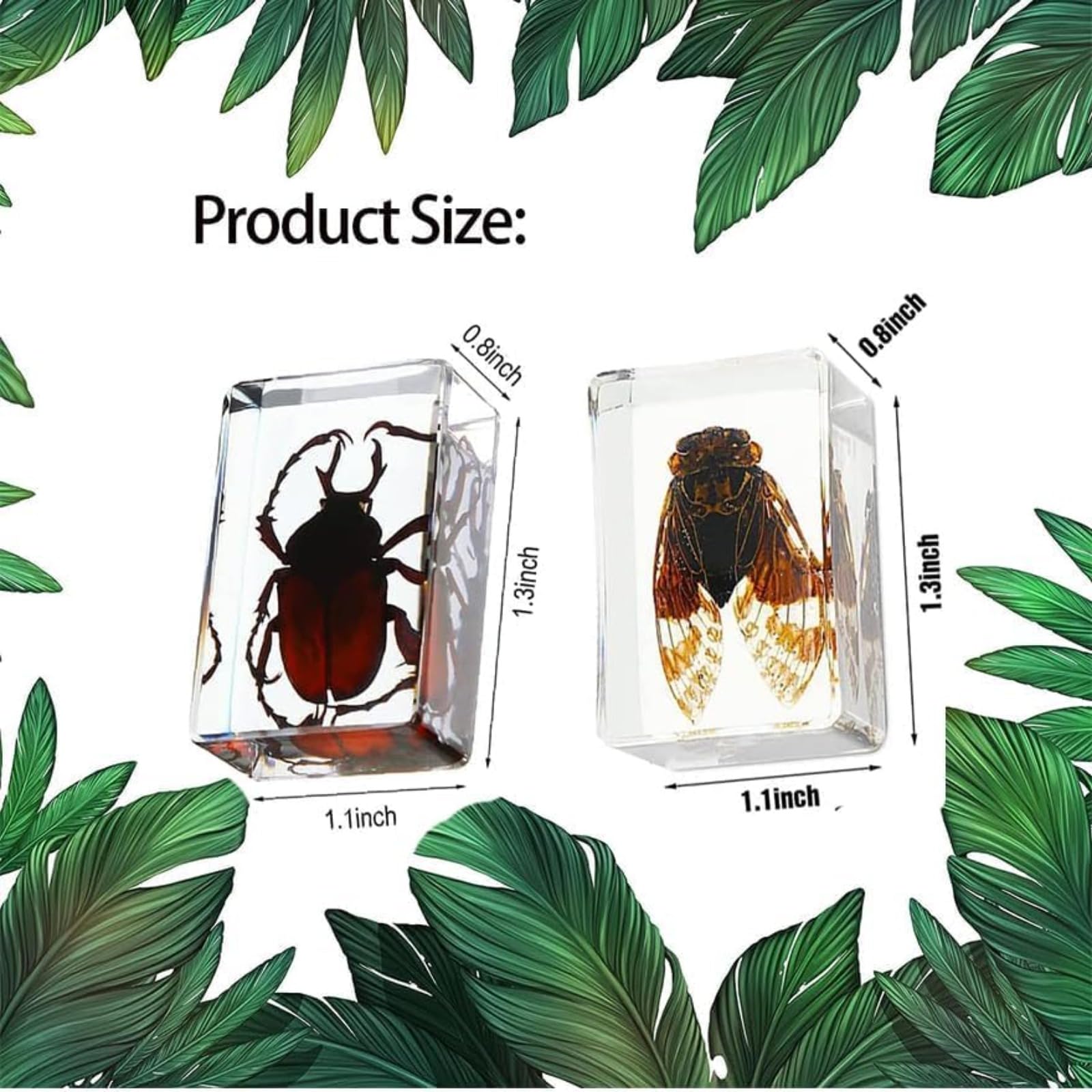 Insectos en Resina preservados, colección de especímenes, pisapapeles de Resina Transparente, decoración