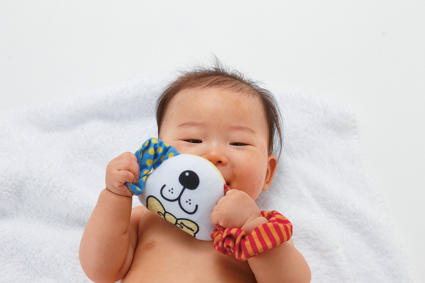 Amazon.co.jp: ふわふわお顔＆ぷにぷにお鼻で安心 夢CHU