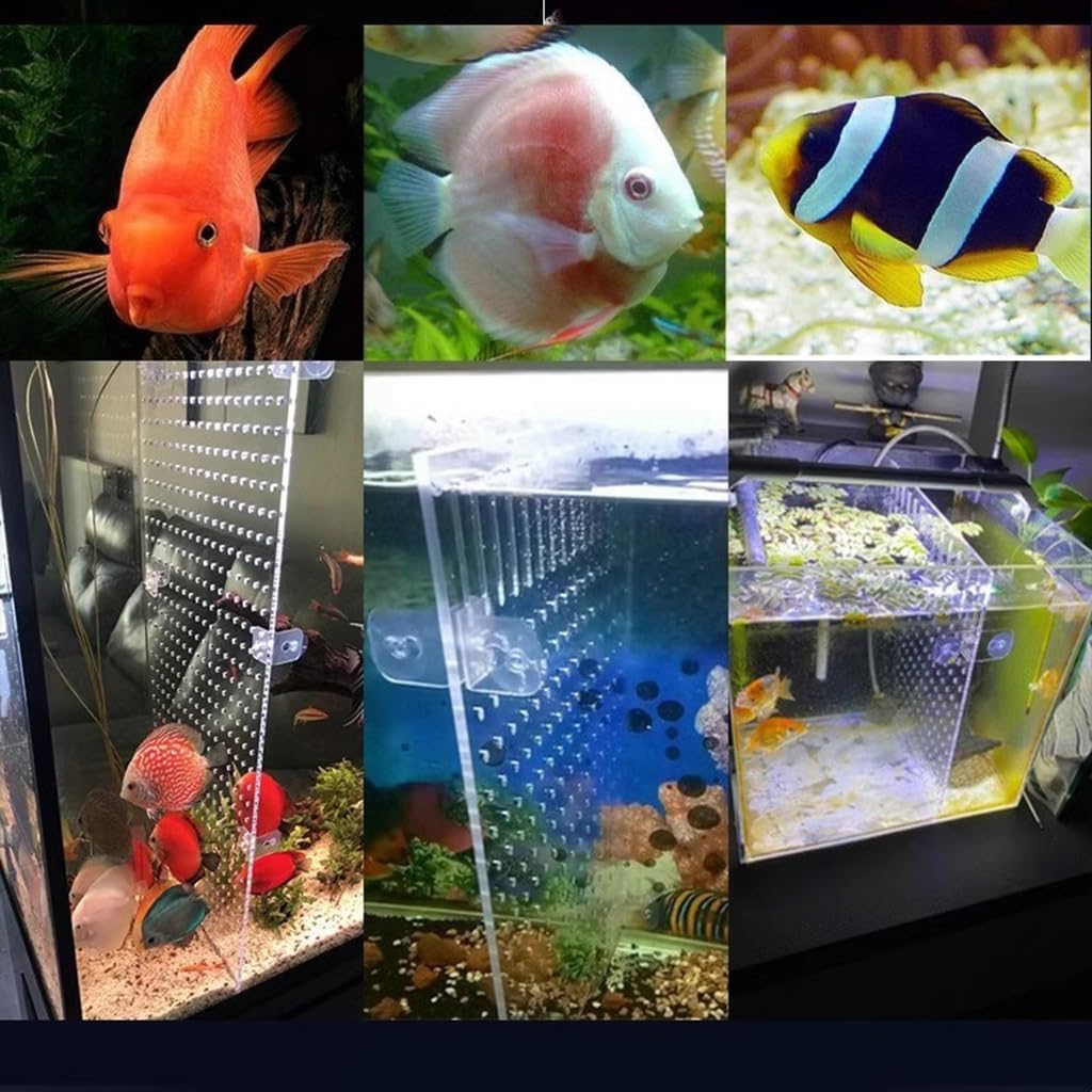 Aquarium Fish Tank Divider, Fish Tank Divider Acrylic Aquarium Divider Kit with Suction Cups Fish Separator Transparent Plate, 4 Styles to Choose from