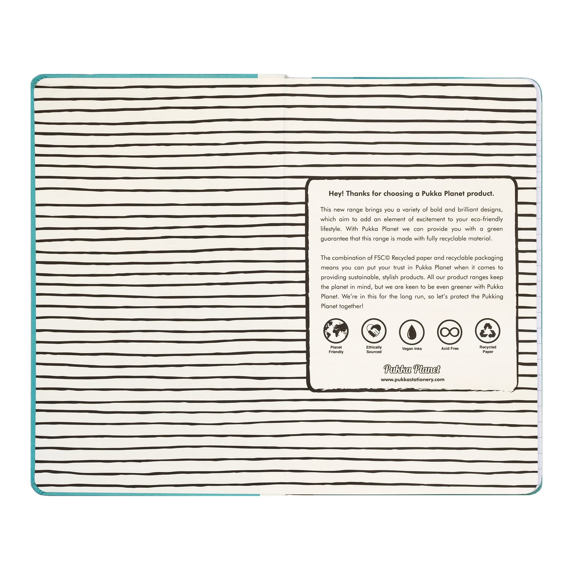 Pukka Pad, Pukka Planet A5 Soft Cover Notebook, Casebound Journal, 192 Pages of 8mm Ruled 90GSM Paper, Feature Acid-Free - Image 4