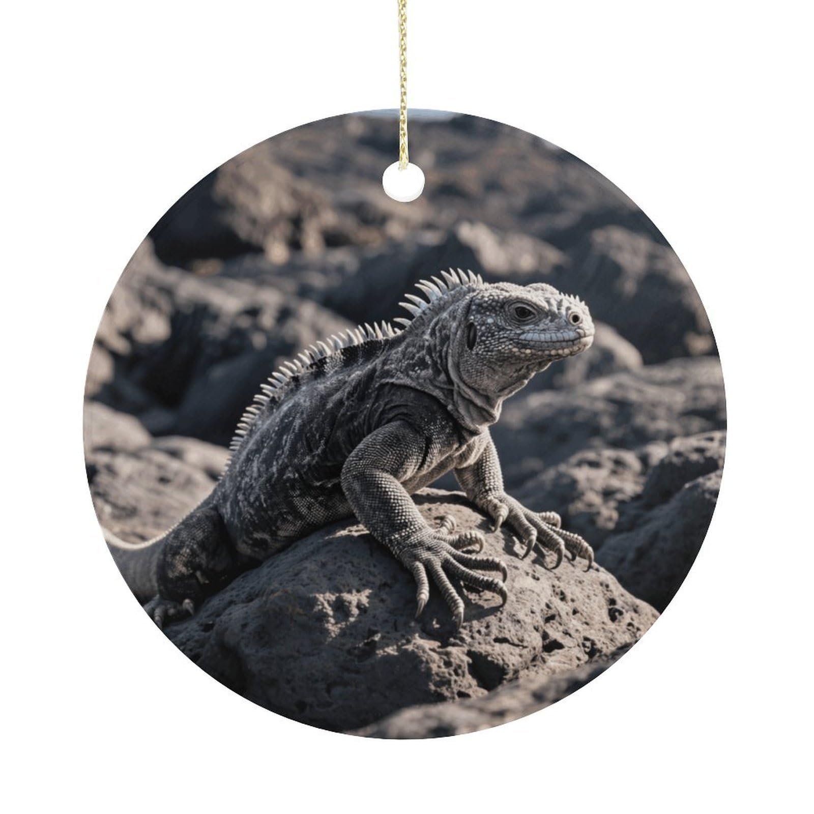 Personalized Christmas Ornaments 2025 Ceramic Hanging MarineIguana Ornaments with Gold String Double-Sided Vintage Holiday Decorations for Tree Mantel Tabletop Xmas Party Favors
