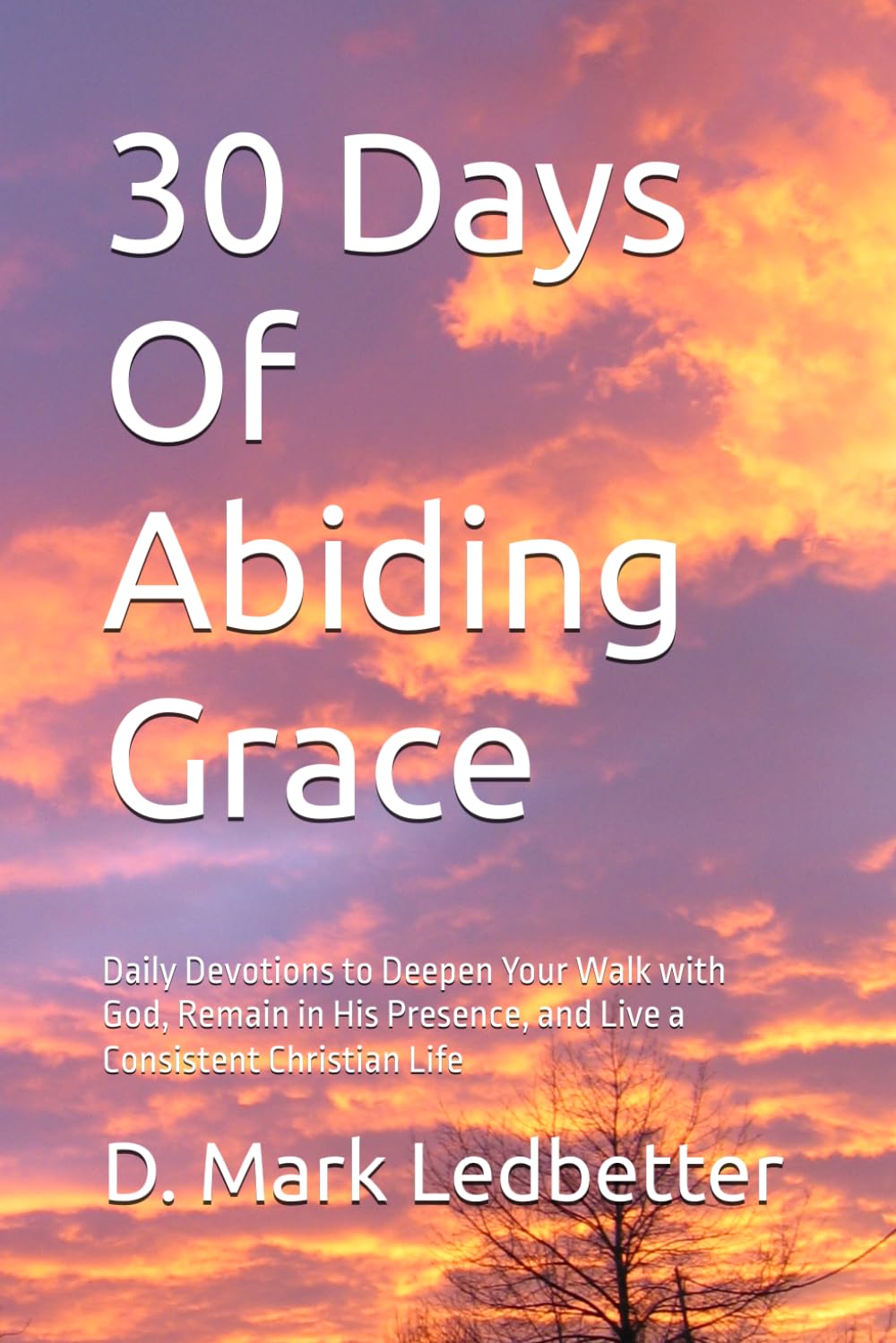 30 Days Of Abiding Grace: Daily Devotions to Deepen Your Walk with God, Remain in His Presence, and Live a Consistent Christian Life
