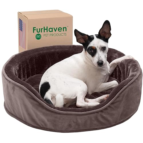 Furhaven Orthopedic Dog Bed for Medium/Small Dogs w/ Removable Washable Cover, For Dogs Up to 18 lbs - Plush & Velvet Oval Lounger - Driftwood Brown, Medium