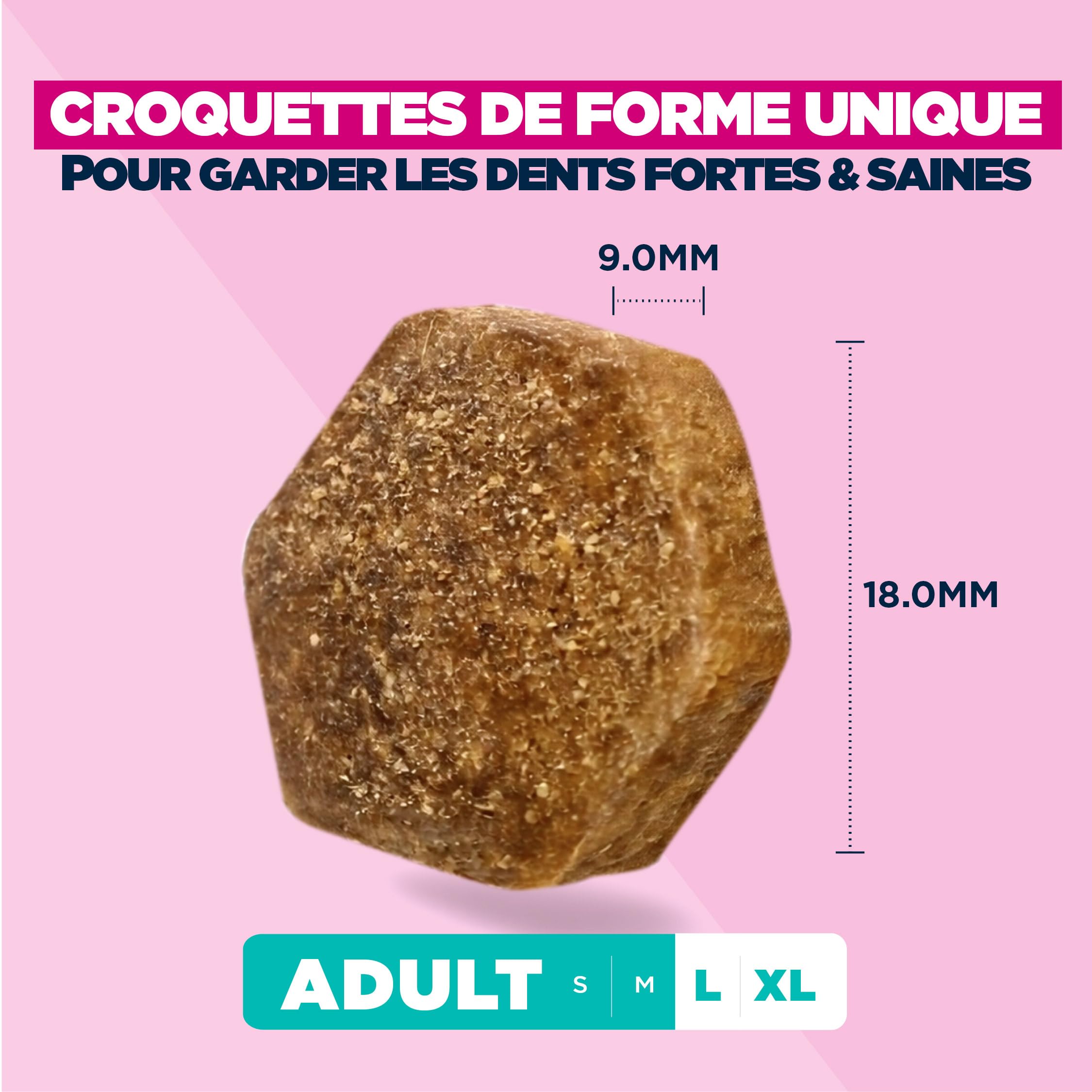 EUKANUBA Life Care Chien Grande Race Saumon Orge 12 kg | Nourriture sèche de qualité supérieure pour chiens adultes