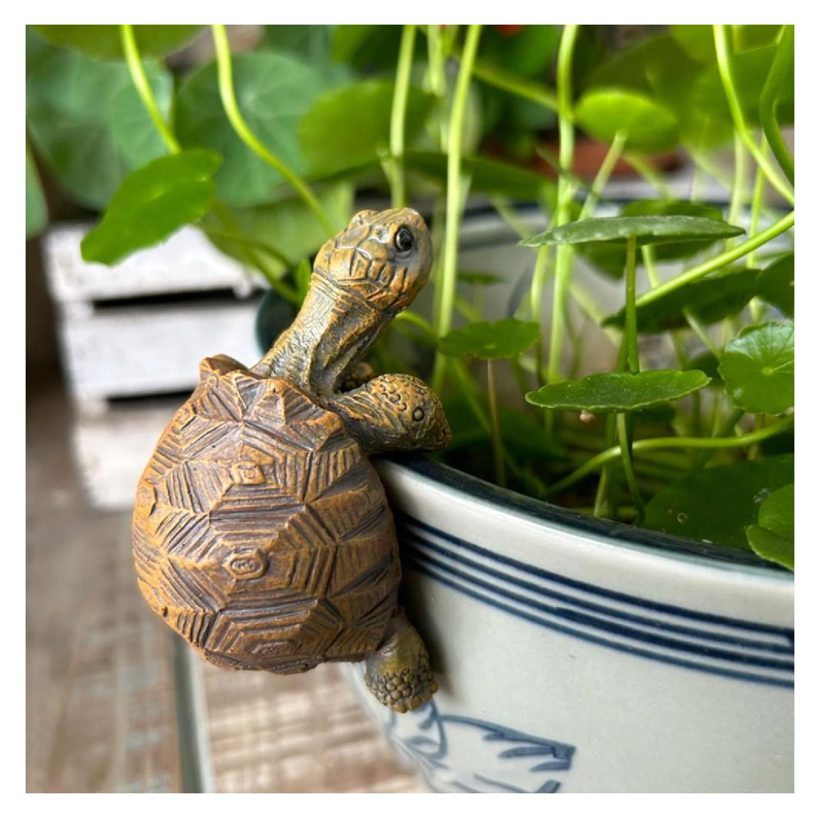 Tortoise Figure Plant Pot Hanger, Resin Hanging Turtle Statue Plant Decorations, Cute Turtle Statue Figurines, Planter Pot Hangers Figurines Planter Pot Gift for Garden Patio Lawn Yard Ornaments