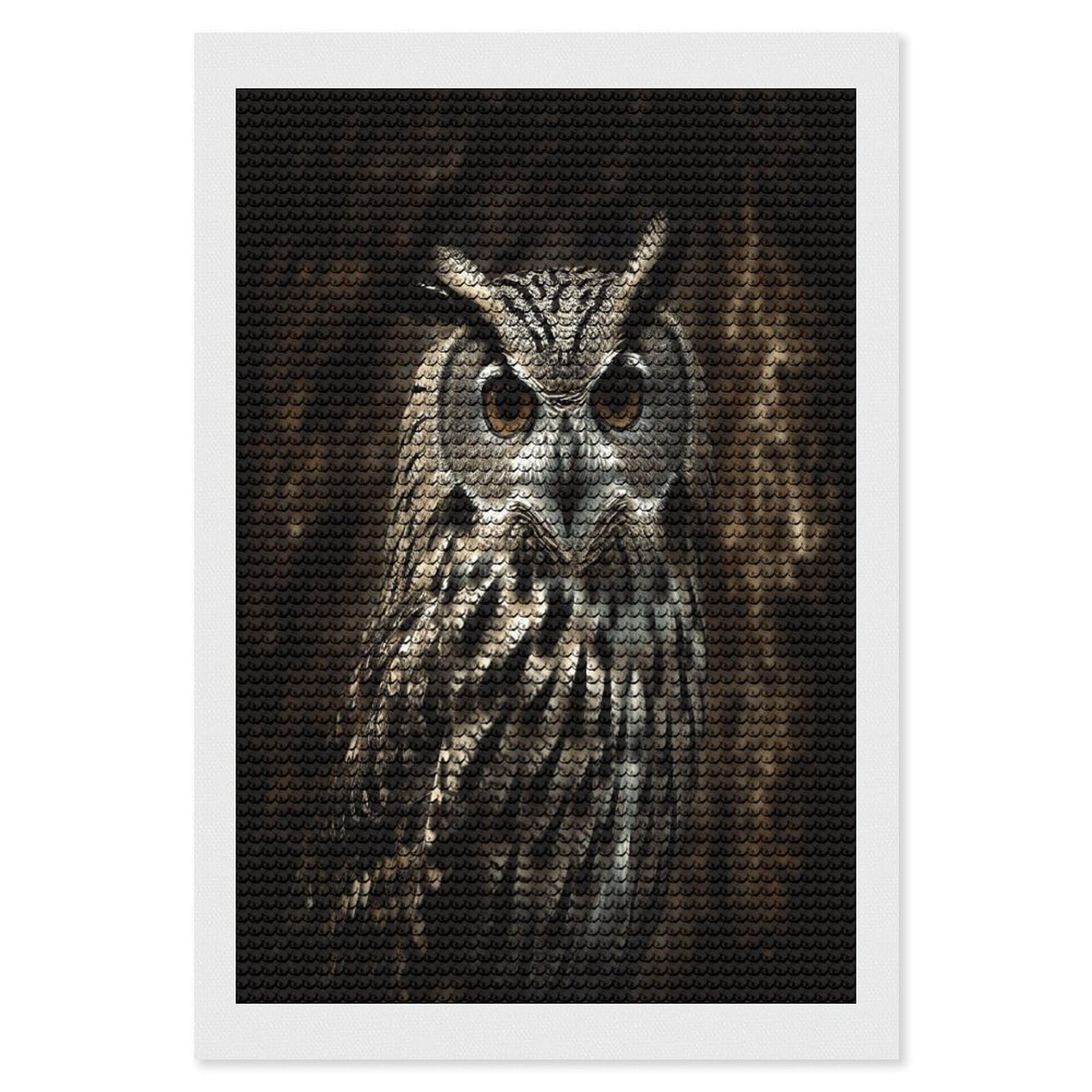 an Owl Diamond Art Kits for Adult Round Full Drill Diamond Dots Paintings for Beginner Picture Art DIY Diamond Painting Kits 5D Diamond Art Painting for Home Wall Decor 8"x12"