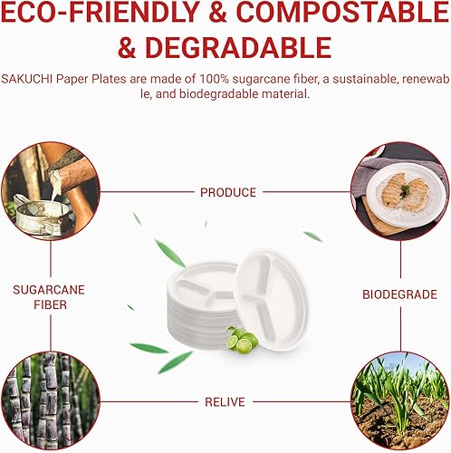 Miniatura 3 de Paquete de 125 platos de papel con compartimentos de 9 pulgadas, 100% compostables, desechables, con divisores para fiestas y cenas, hechos de