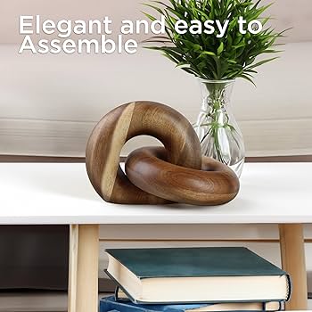 71xgItRfoDL._AC_UF350,