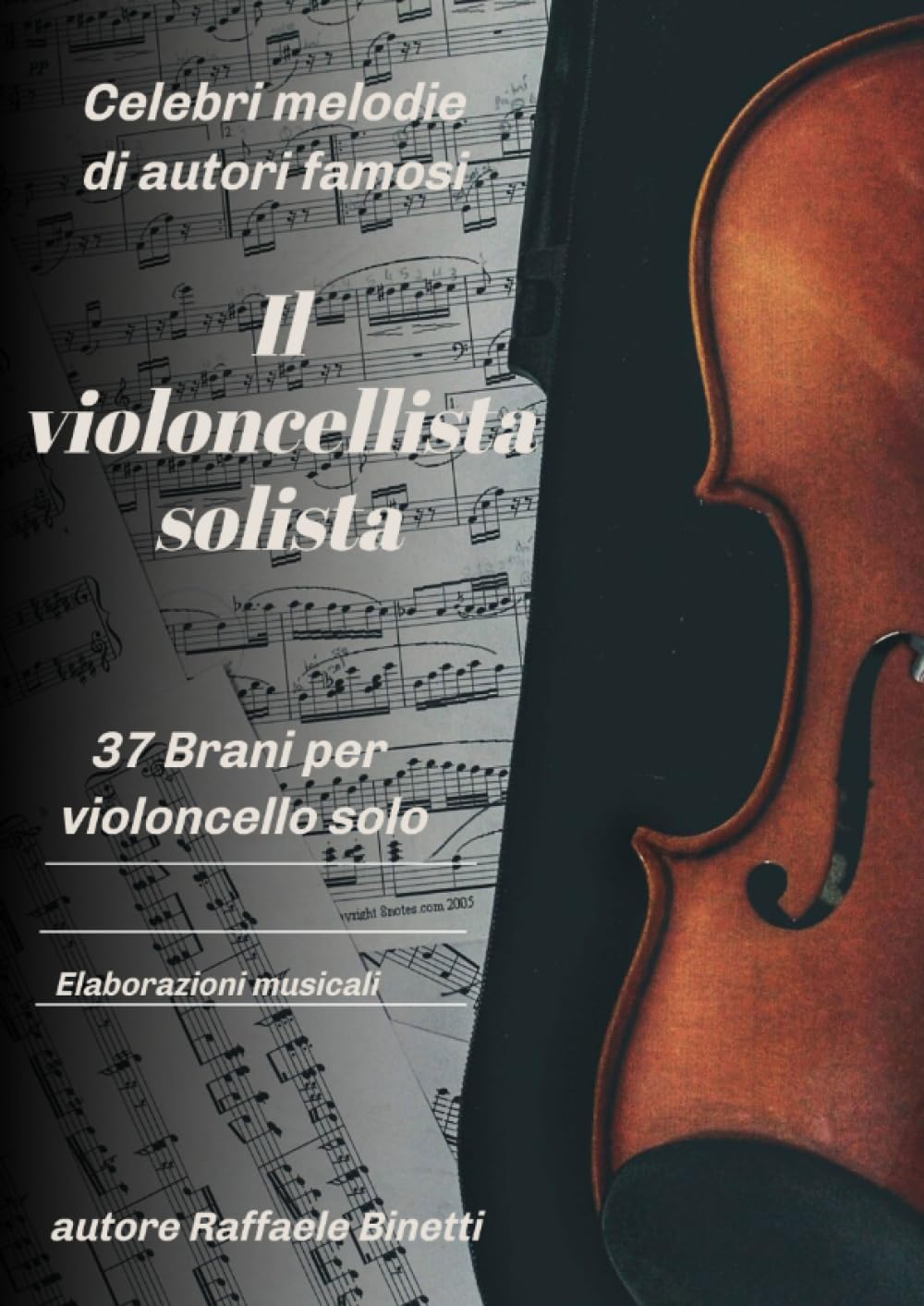 Il Violoncellista Solista