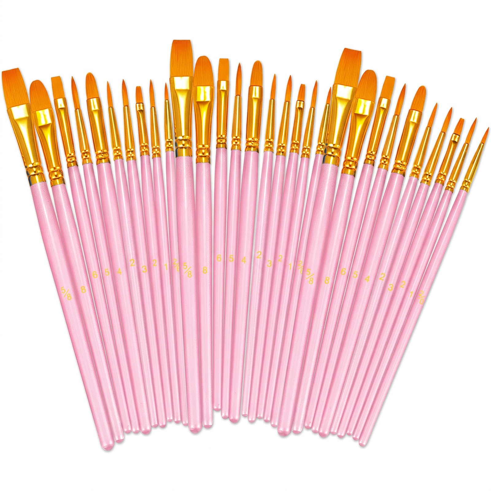 BOSOBO Assorted Nylon Acrylic Artist Paint Brushes Set,Pink,30 Pcs