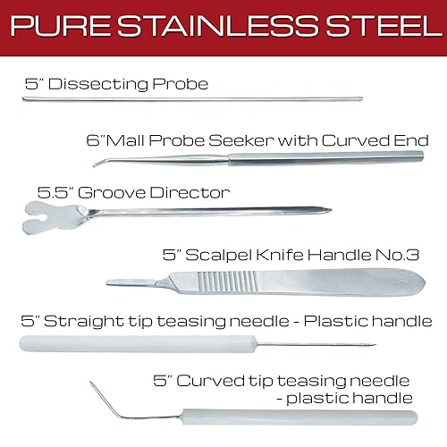 Miniatura 4 de Juego de 20 piezas de acero inoxidable avanzado de biología, anatomía y disección para estudiantes de medicina, mango de cuchillo para raspador,