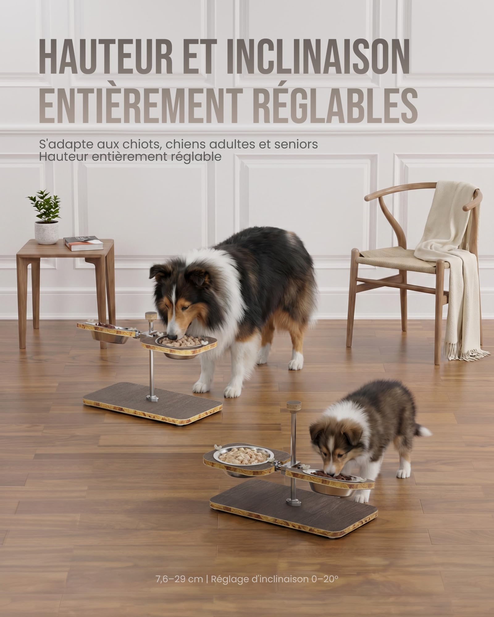 Kittyspout Gamelle surélevée pour chien, réglable en hauteur et en inclinaison