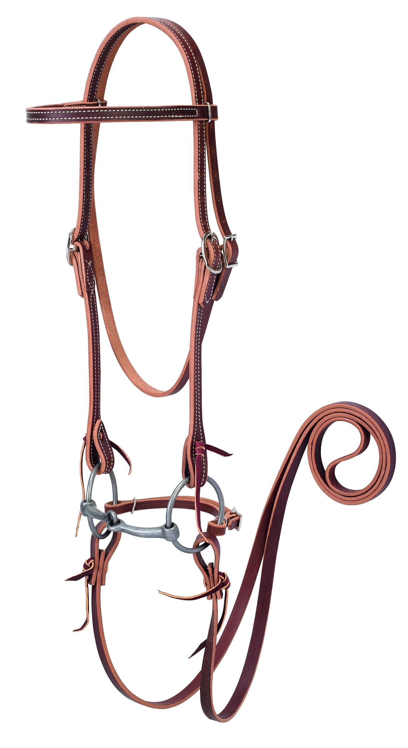 Bridle w/Double Buckle Cheeks filet de qualité en cuir supérieur