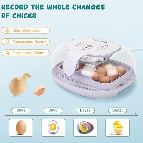 Miniatura 5 de Incubadora de huevos, incubadora digital automática para incubar huevos con girador automático de huevos, juego de incubación de aves de corral con