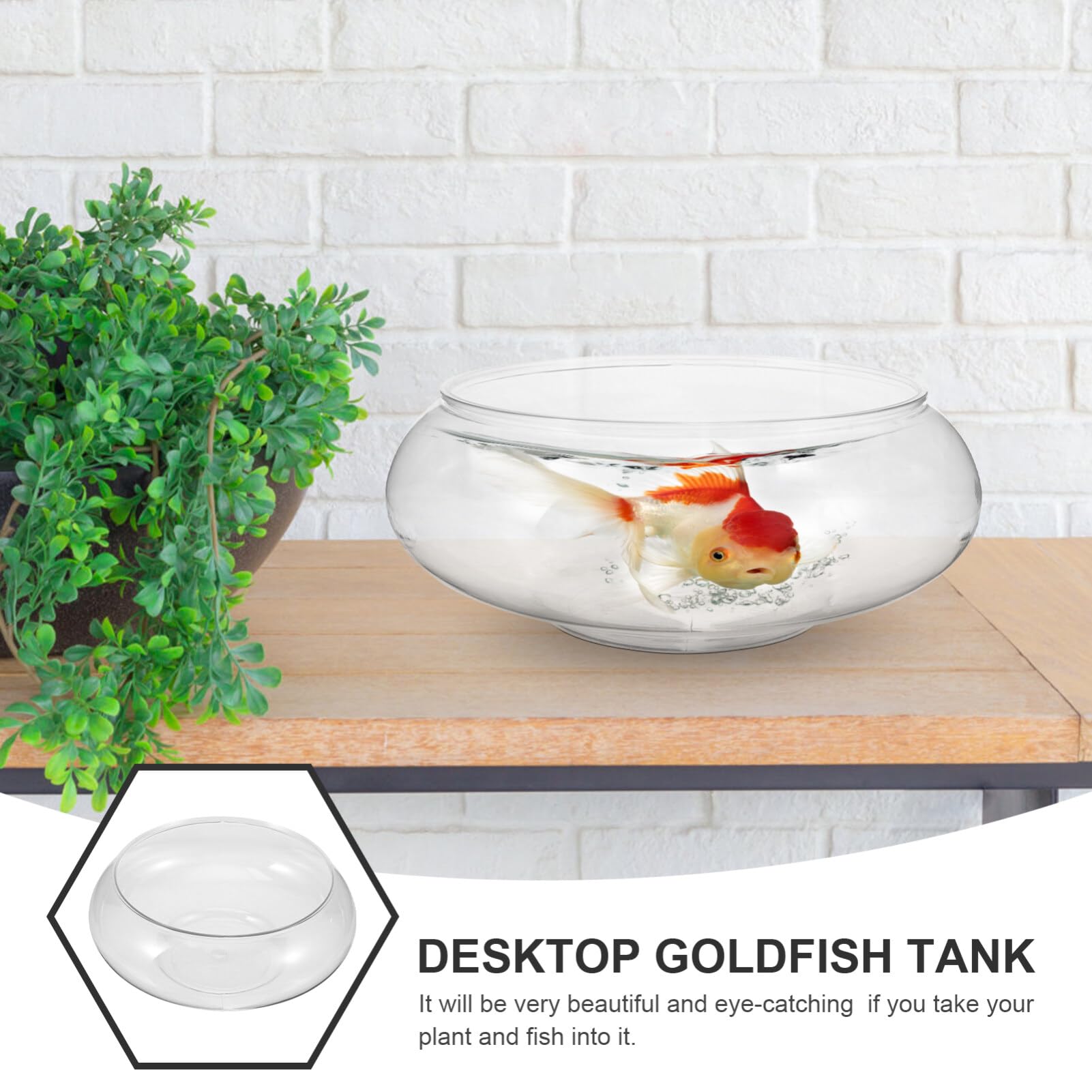EXCEART Pecera Grande y Transparente - Florero Terrario Macetero Hidropónico Para Suculentas y Plantas De Aire - Contenedor De Plástico Para Fiesta 2800Ml