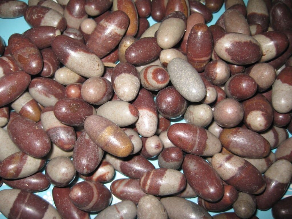 Bulk 3" Shiva Lingam Stones - 11 Pc. Lot - Best shiva Sacred Narmada Bana Lingam, Shri Narmadeshwar Banalinga - Spiritual sacred stone of the Indian Hindu Religion