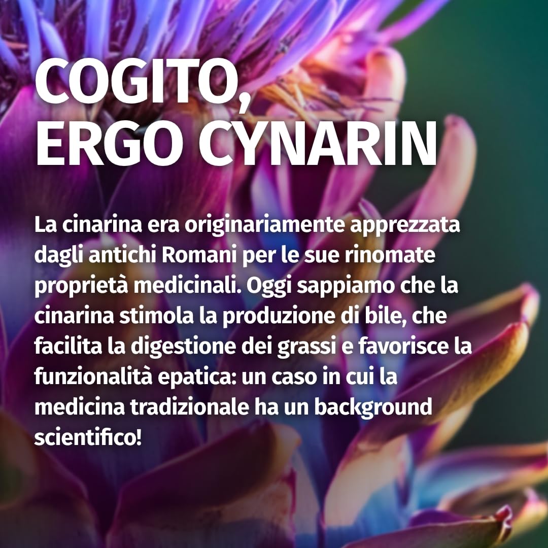 Green Naturals® Estratto di carciofo - 2600 mg al giorno (di cui 260 mg di cinarina) - Estratto potente 40:1 (equivalente a 104.000 mg di carciofo fresco) - 240 capsule