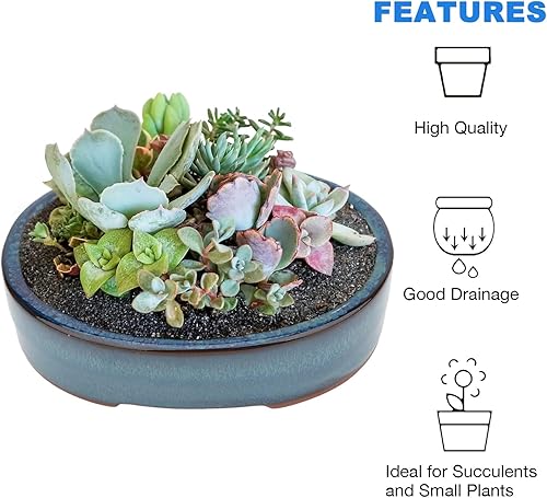 Miniatura 5 de Juego de 2 macetas esmaltadas pequeñas de 5.9 pulgadas, 2 + 4 pantallas de drenaje de malla suave