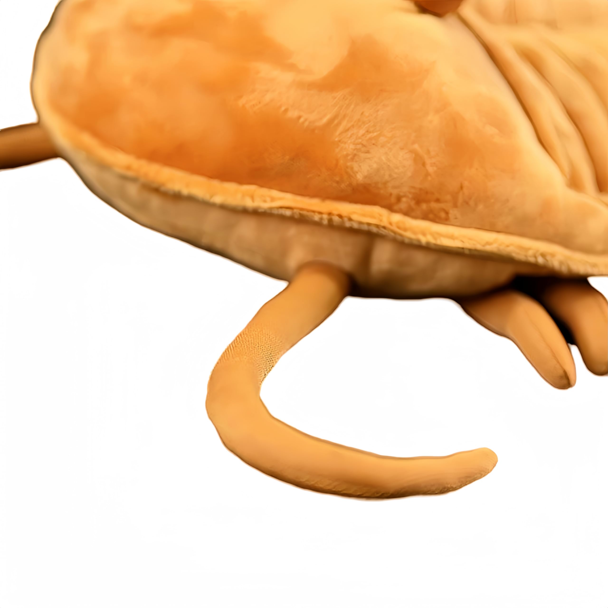 FRANKIEZHOU Simulated Trilobite Stuffed Animal - 11.8 Inch Ancient Creature Plush Toy