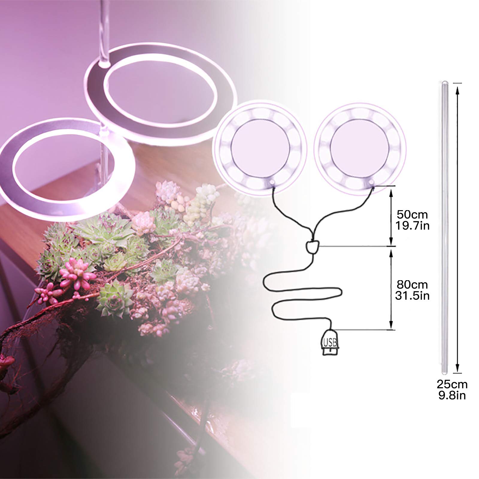 Lampe de croissance à 3 têtes LED pour plantes succulentes avec support, lampe annulaire, interface USB, lampe de croissance pour fleurs, éclairage de croissance pour plantes en pot (Blanc)