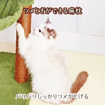 Amazon | アドメイト (ADD. MATE) 猫用タワー ねこまどグリーン