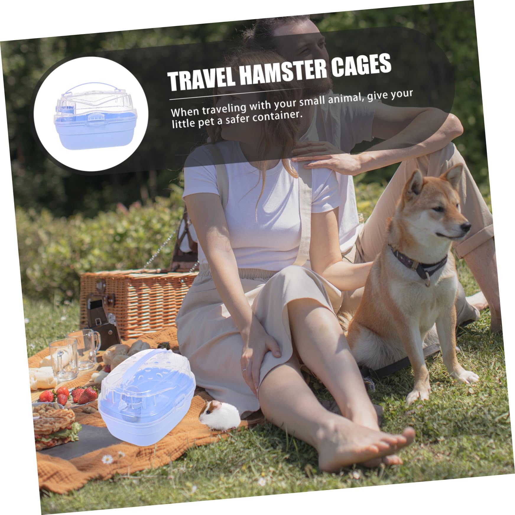 Tragbare Hamstertransportbox für Kleine Tiere und Mäuse aus Pp