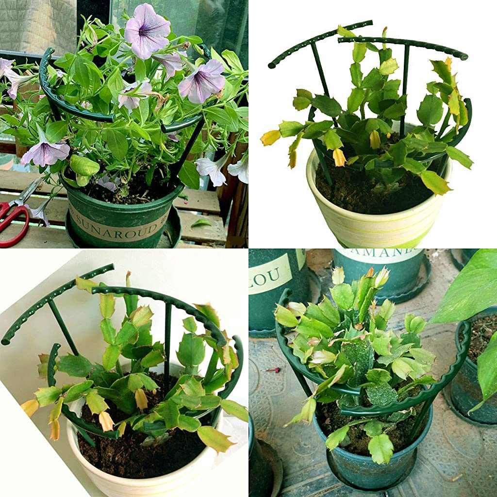 Optifit® 12Pcs Plant Support Plant Stake Plant Support Stake Connectable Garden Flower Support Plant Support Stakes for Tomato, Hydrangea, Indoor Plants - Image 7 thumbnail