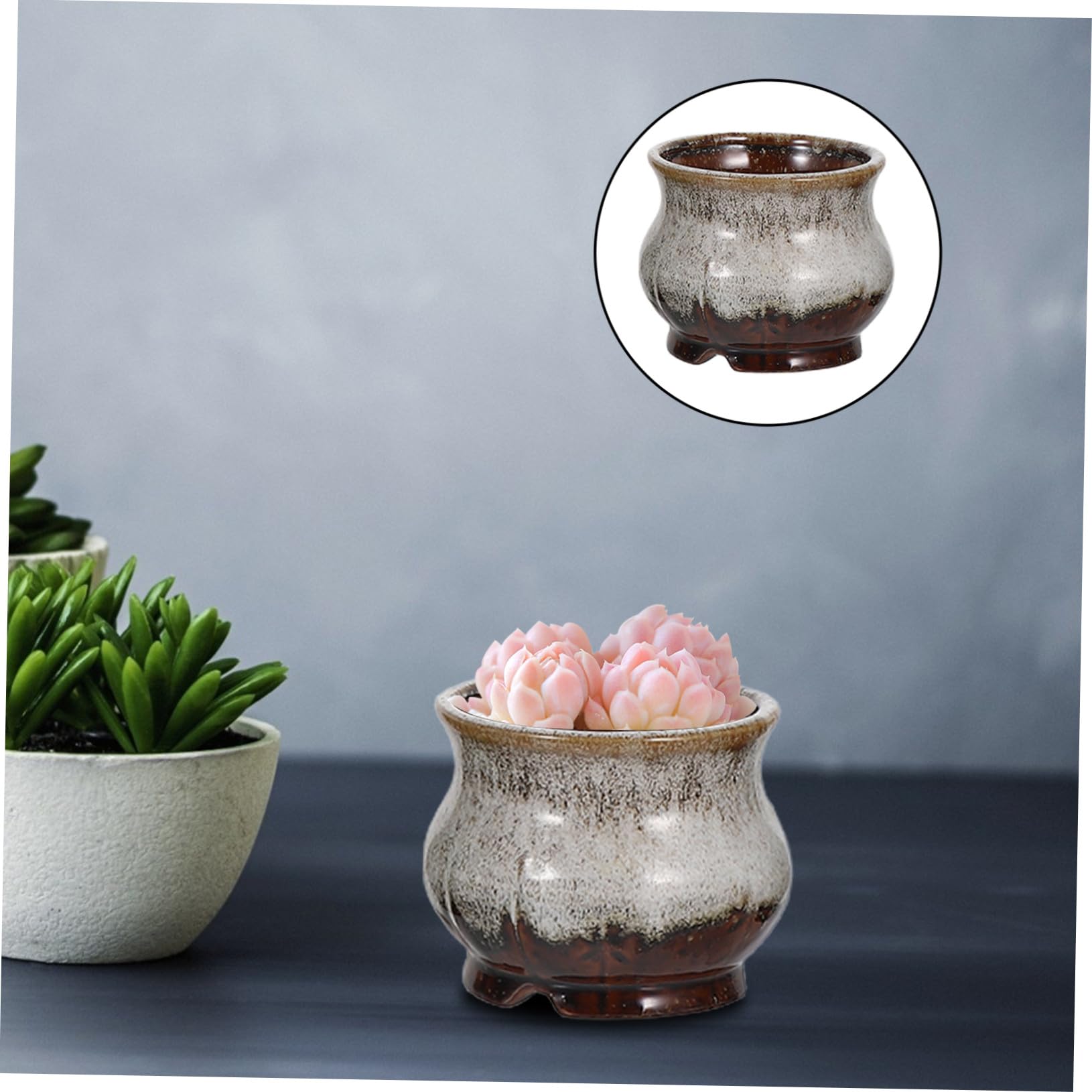 5 Sztuk Ceramicznych Doniczek Na Sukulenty Doniczka Ceramiczna Kolorowa Ceramiczna Doniczka Na Bonsai Doniczki Na Sukulenty Doniczki Ceramiczne
