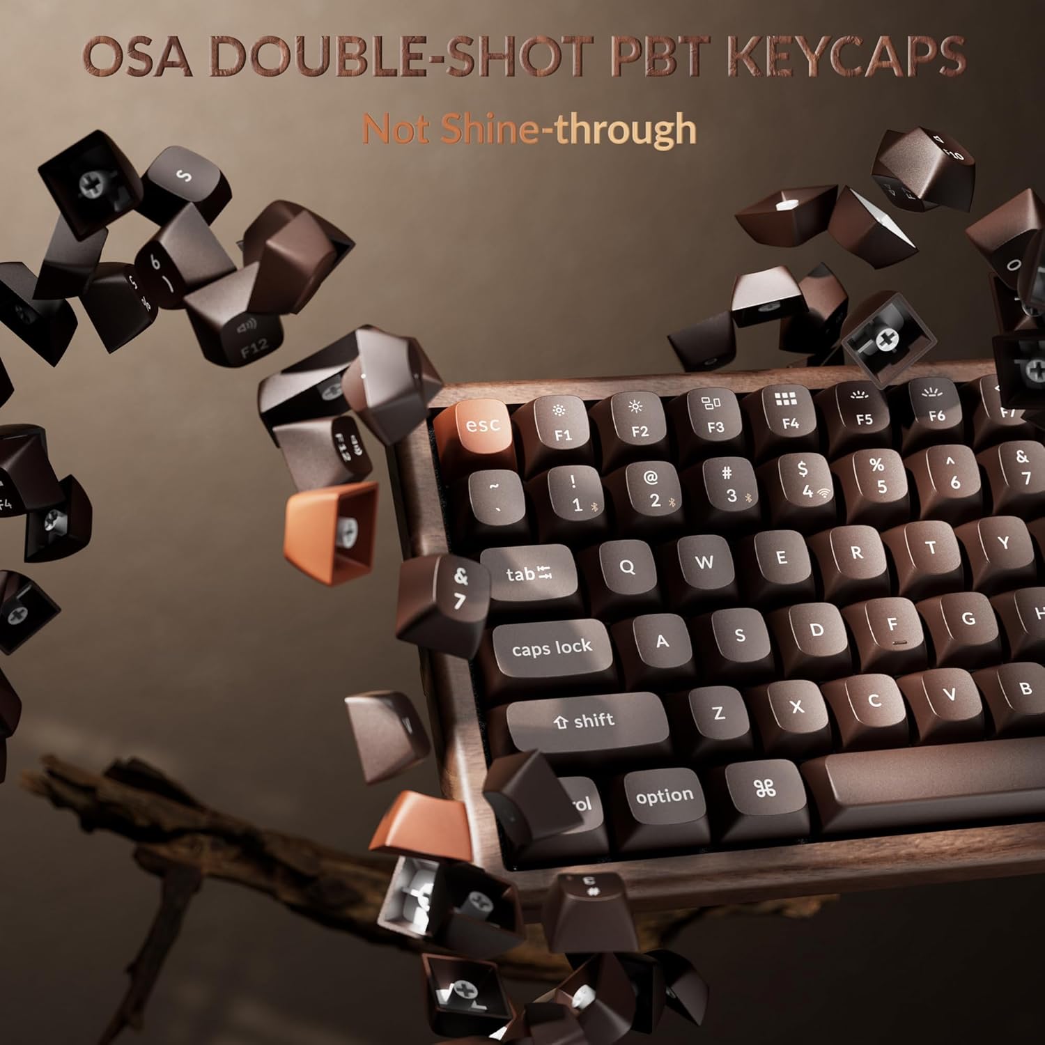 Keychron K2 HE Rapid Trigger Wireless (2.4 GHz & Bluetooth) QMK Custom Keyboard with Hall Effect Gateron Double-Rail Magnetic Switch RGB Compatible with Mac Windows Linux (All-Wood)