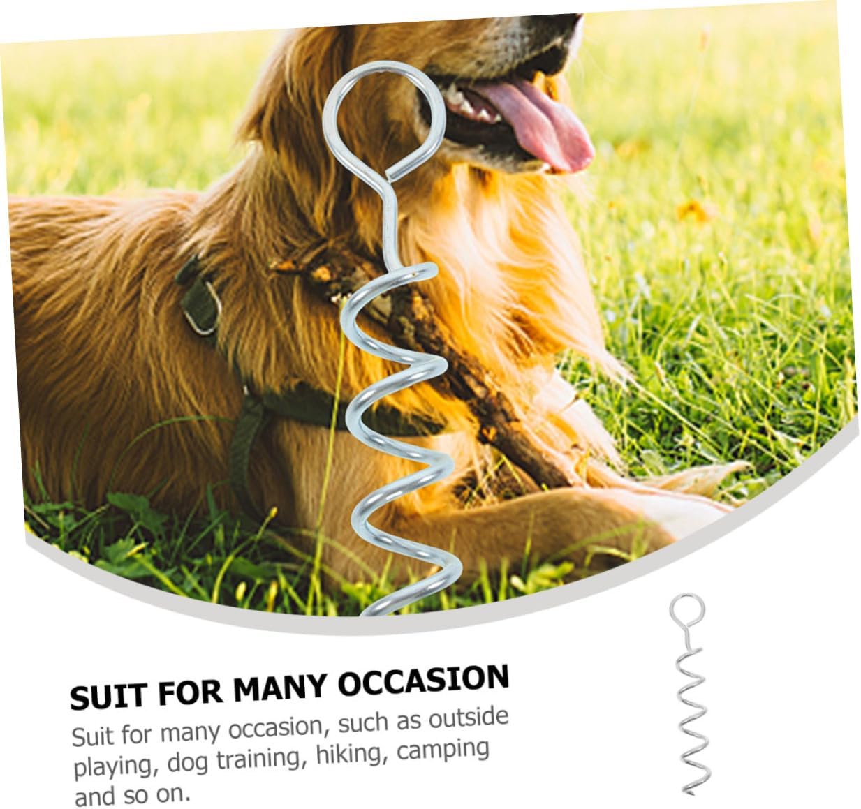 Heavy-Duty Metal Dog Tie Out Stake with Handle, Spiral Ground Anchor for Outdoor Pet Leash, Single Round Head Ground Stake for Camping and Yard Use