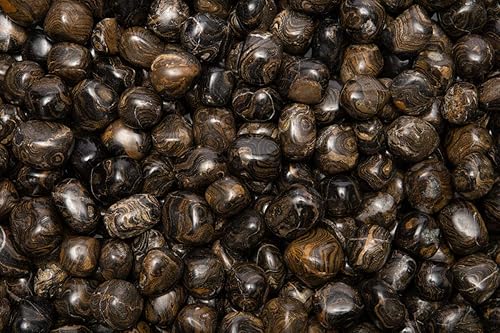 Fantasia Materiales: 1 libra de piedras pulidas de estromatolita natural de Perú