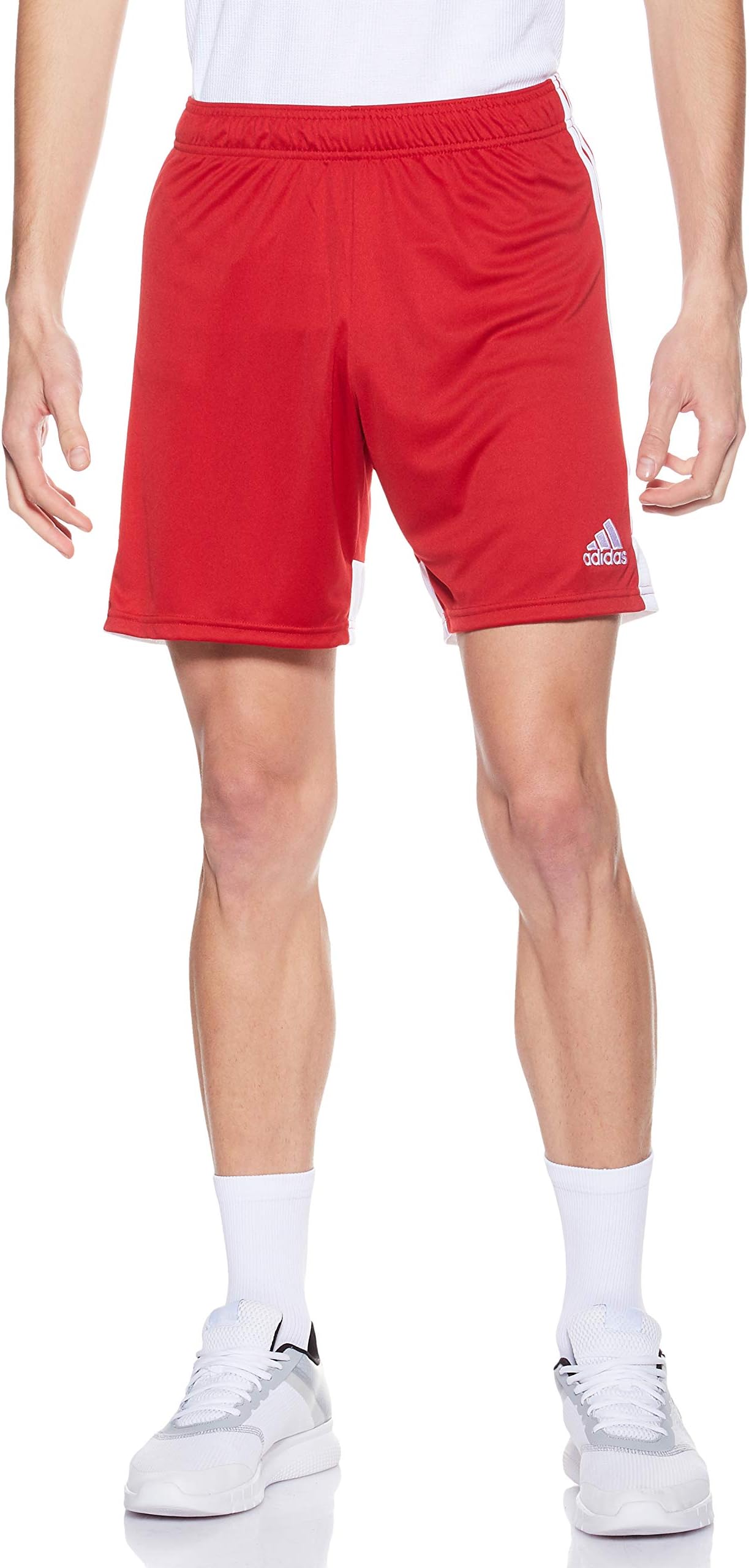 Men's Tastigo 19 Shorts, Blue (Dark Blue/white)