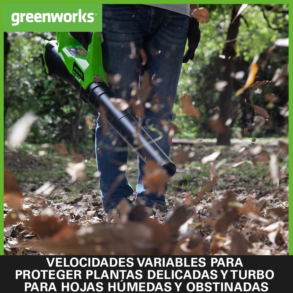 Greenworks G40ABK2 Soplador de Hojas a Batería Axial, con Control de Crucero, 177 km/h, 11,05 m³/min, Batería de 40V 2Ah y Cargador, Garantía de 3 Años
