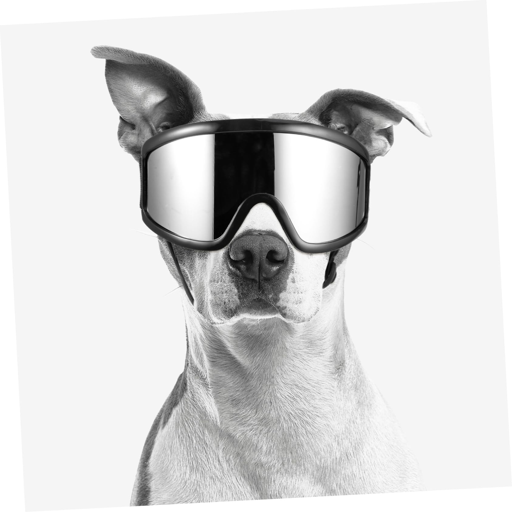 HAPINARY Dog Eye Glasses Plastic Pet Sunglasses for Uv Protection Fashion Statement