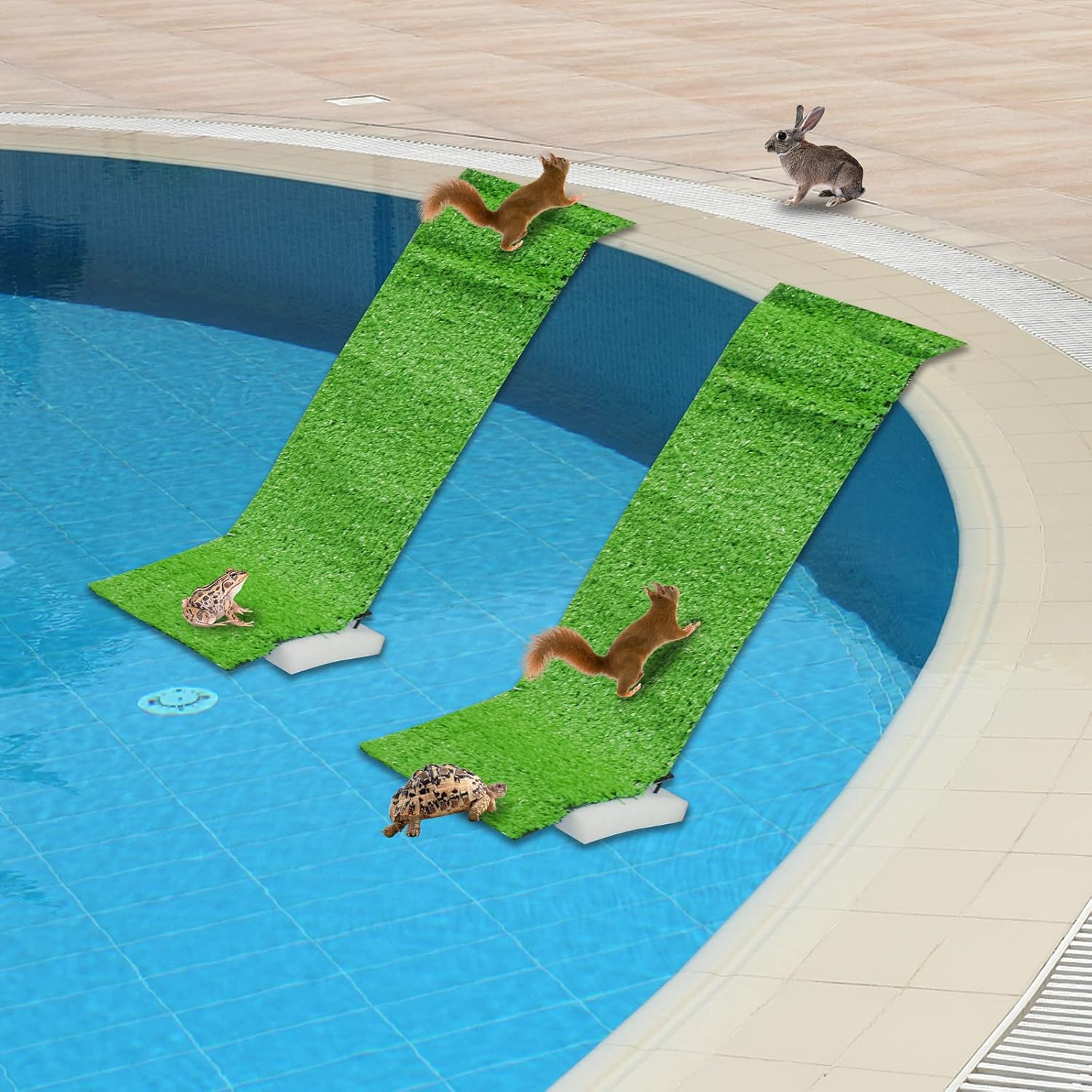 2 Pack Pool Ramp for Animals to Escape, Animal Critter
