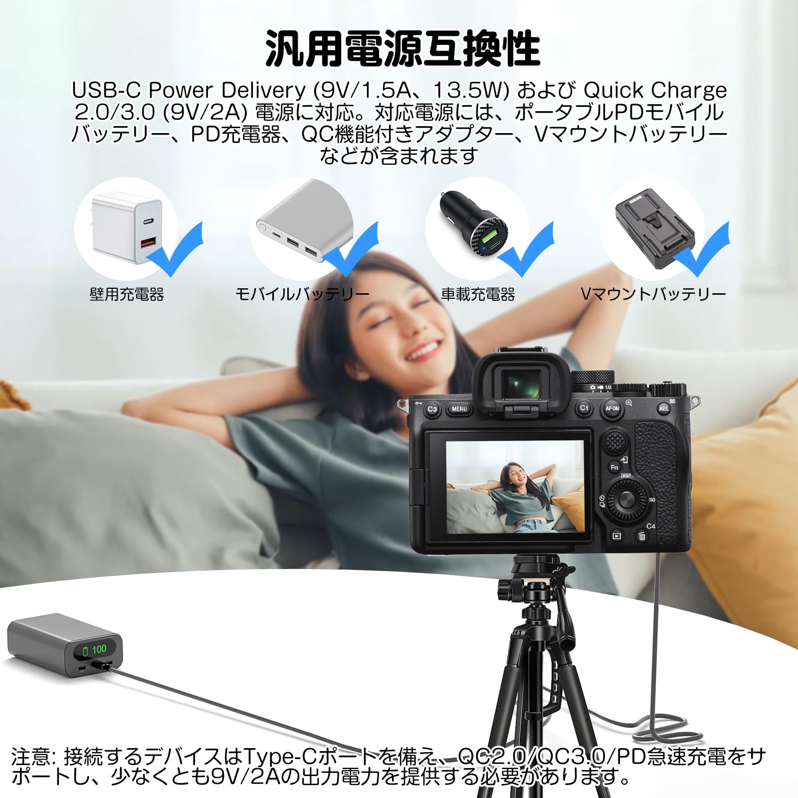 Amazon.co.jp: F1TP NP-FW50 ダミーバッテリー USB-C アダプター SONY