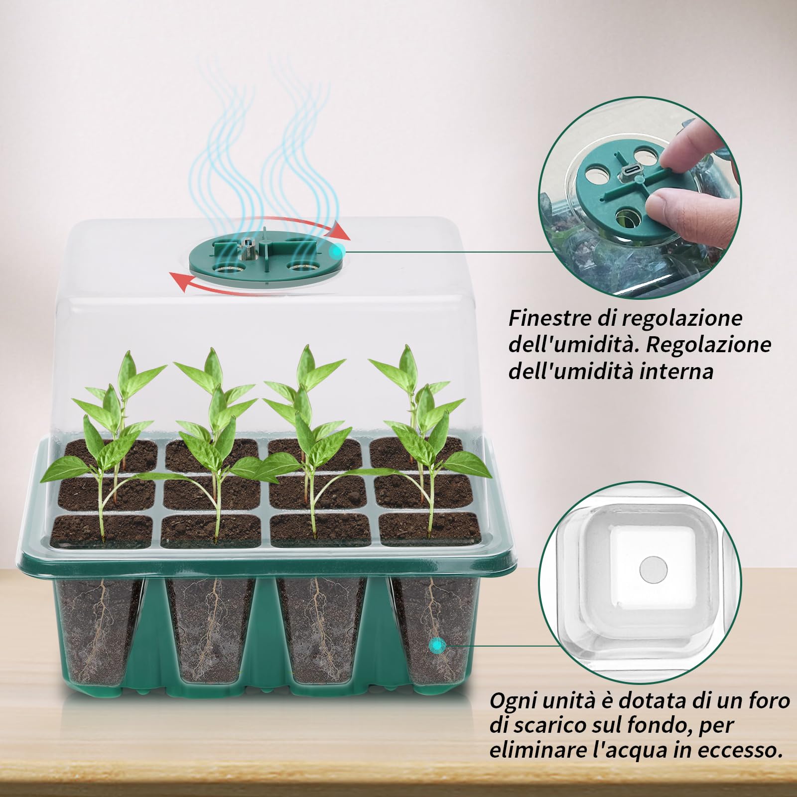 6 Pezzi Vassoi per La Germinazione, Vassoi per Semi Con Luce A Spettro Completo Kit, Semenzaio Propagatore Semi con Grow Light Vassoio per Serra Giardino Verdura Frutta Seme Piante In Mini Serra