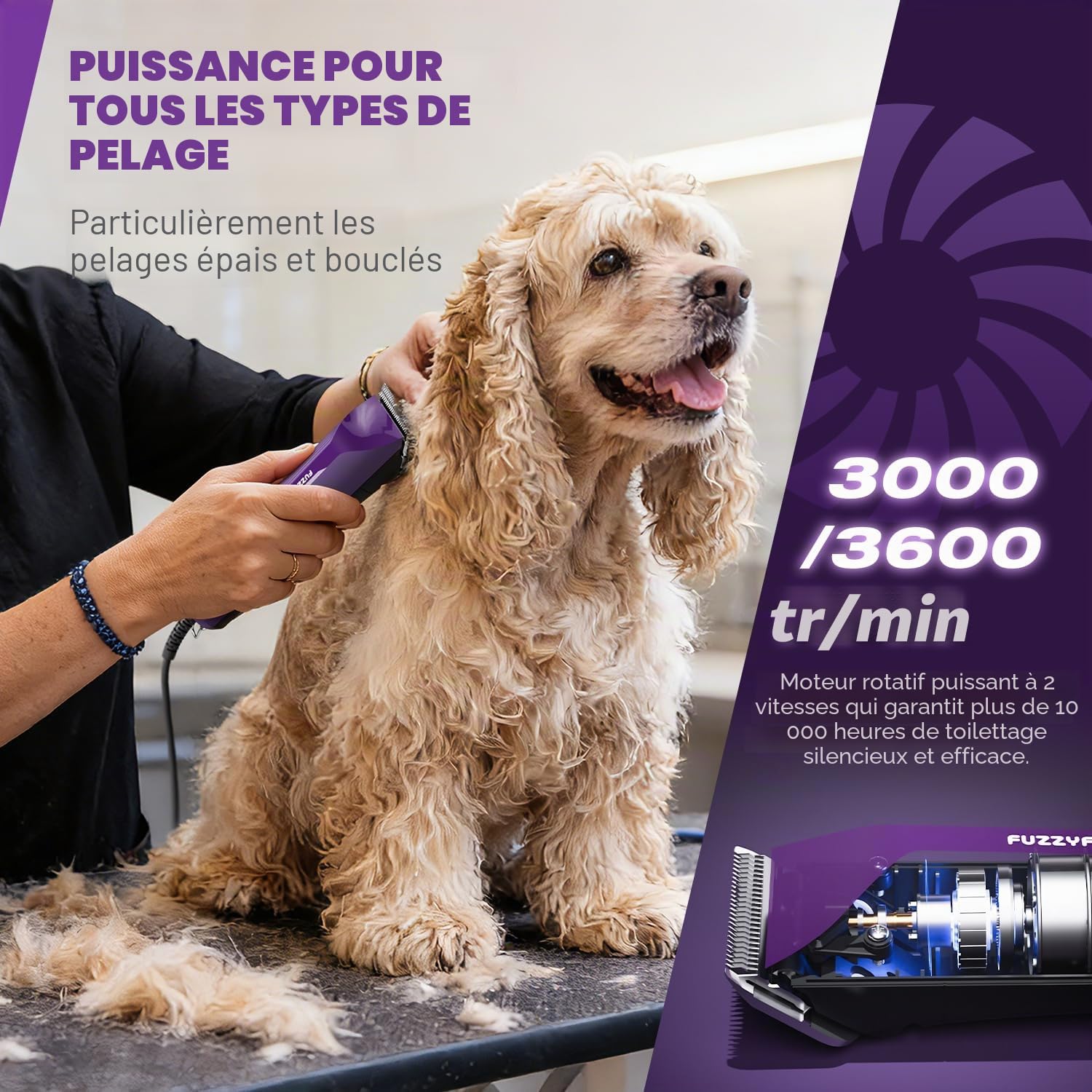 Tondeuse pro chiens câble peignes métalliques amovibles | câble de 3 m, fonctionnement silencieux et sans surchauffe, avec boîtier antidérapant et incassable