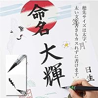 Vista 5 de Pluma con punta de pincel Pentel Fude, negrita (XFL2B)