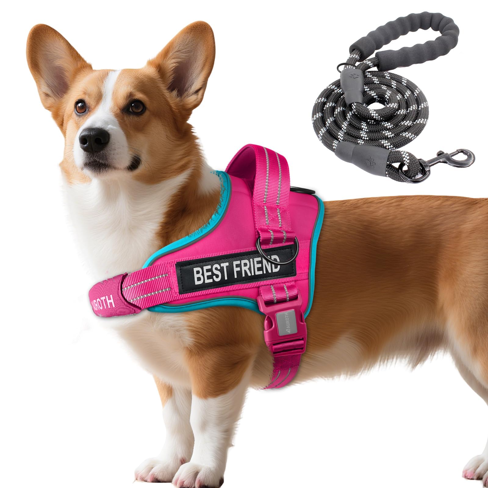 AUROTH Dog Harness and Leash Set