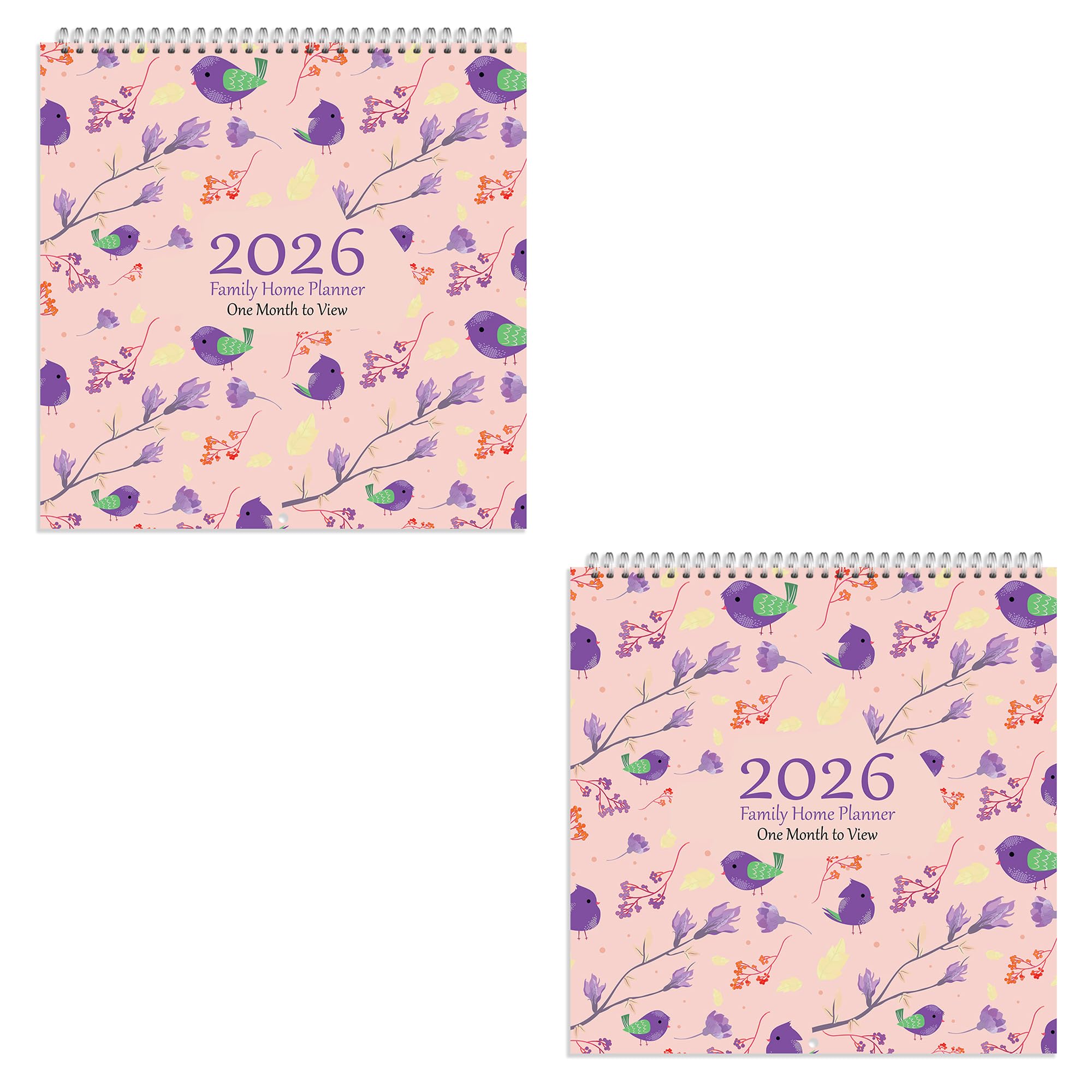 Arpan 2026 Family Home Planner Wall Calendar – Month to View Family Planner 2026 with 5 Columns Including Birthday Column | 2026 Family Planner | Family Calendar 5 Columns for Busy Homes (2 Pack)