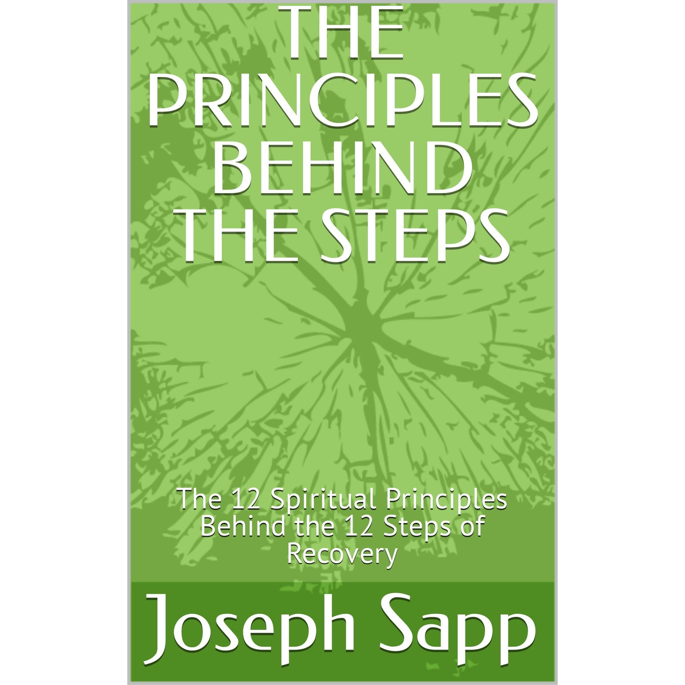 THE PRINCIPLES BEHIND THE STEPS
