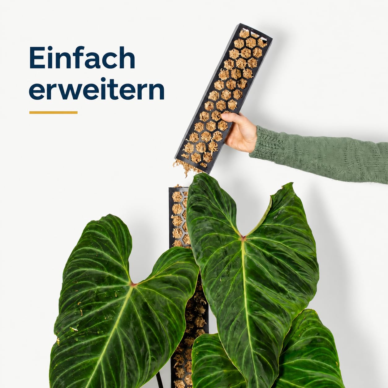 Bastone di muschio per rampicanti Monstera, piante da interni, piante rampicanti, edera e muschio, supporto per piante, palo di muschio, aiuto per piante da interni, filodendro (nero)