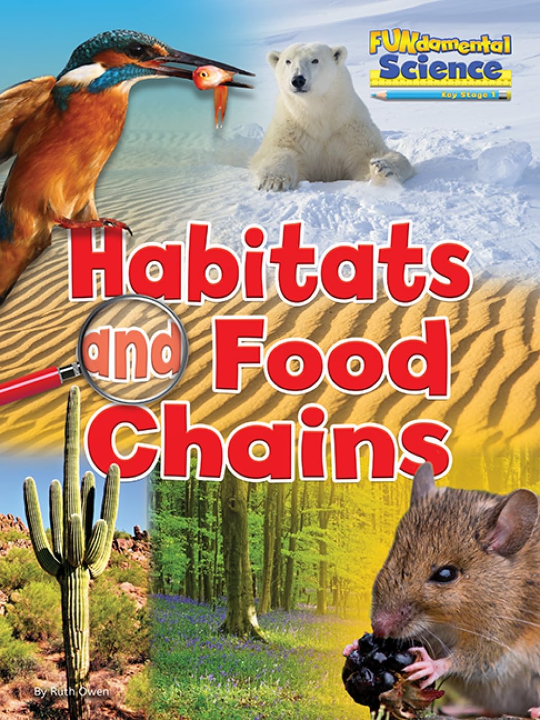 Ruth Owen Unisex Multicolor Habitats & Food Chains Paperback Book