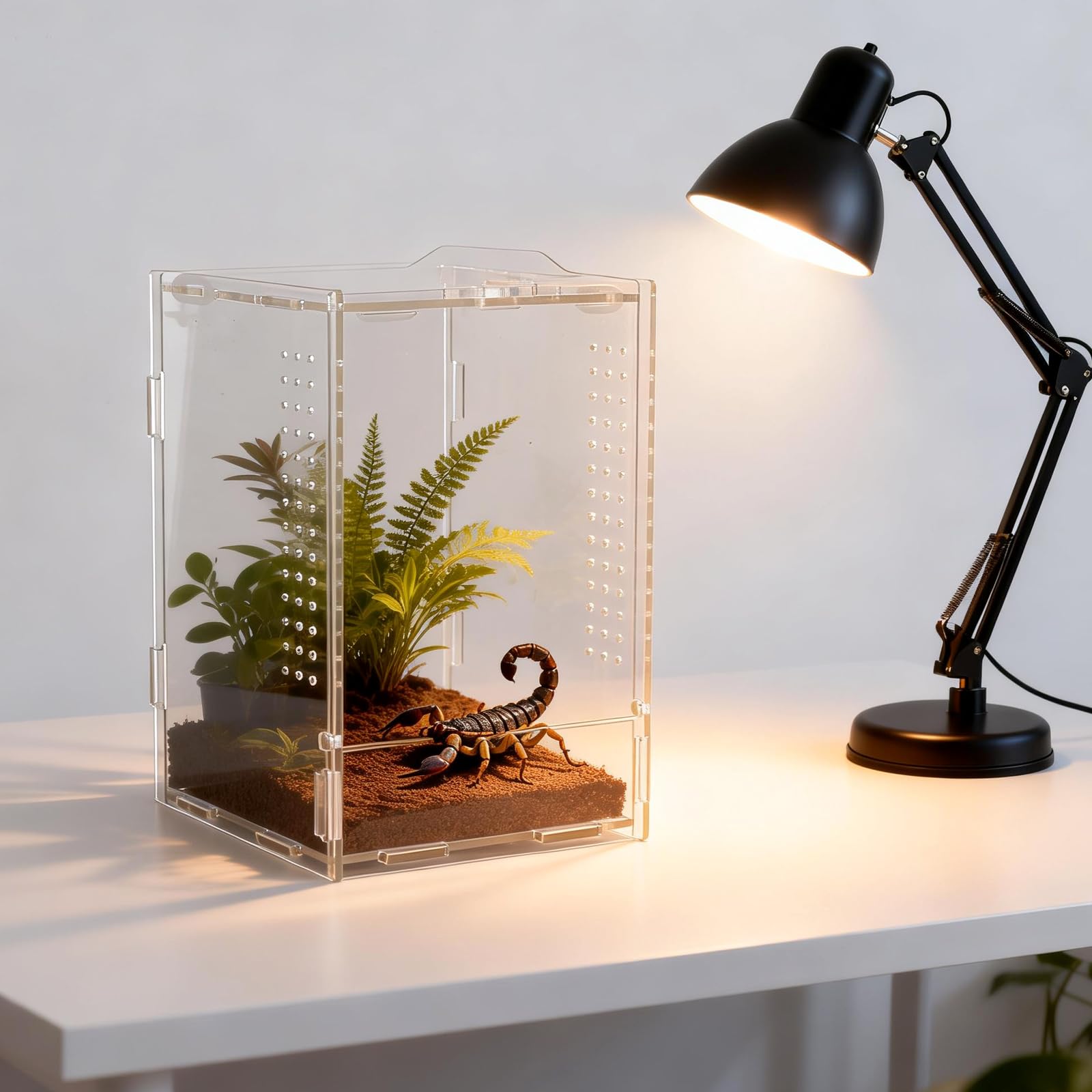 12 × 12 × 20 cm gady, terrarium akrylowe, przezroczyste 360°, mini terrarium, faunarium, terraria dla gadów i płazów, do hodowli, przechowywania i obserwacji