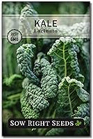 Sow Right Seeds Lacinato Kale Seeds - Non-GMO Heirloom Dinosaur Kale for Planting Home Garden Superfood (200 Seeds)