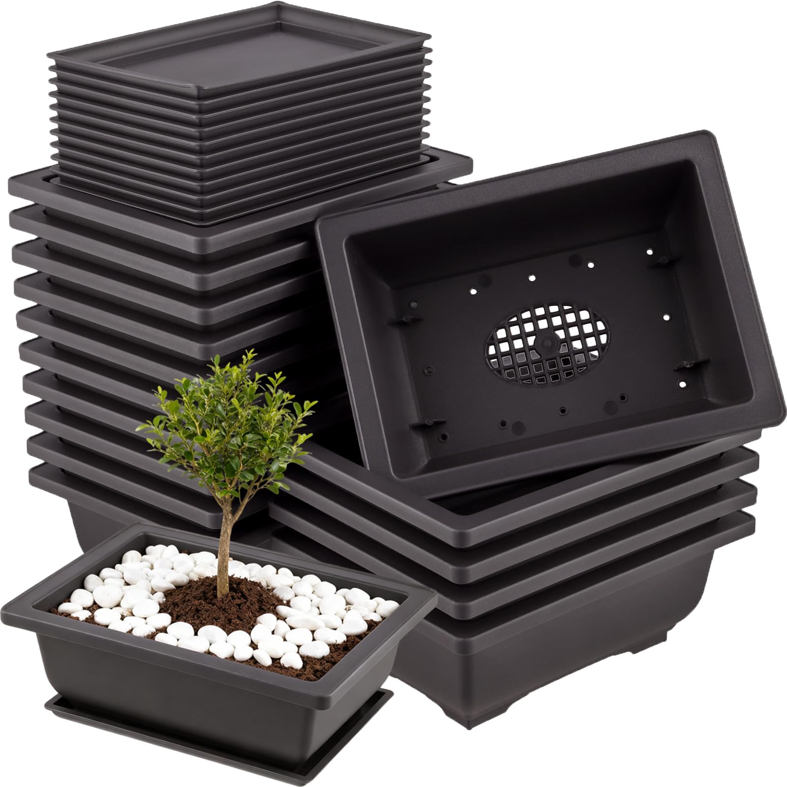 Molyorch 3 Pezzi Vaso per Giardino Con Vassoio in Plastica - Bonsai Piante Contenitori per Fiori, Interni, Decorazione Della Casa